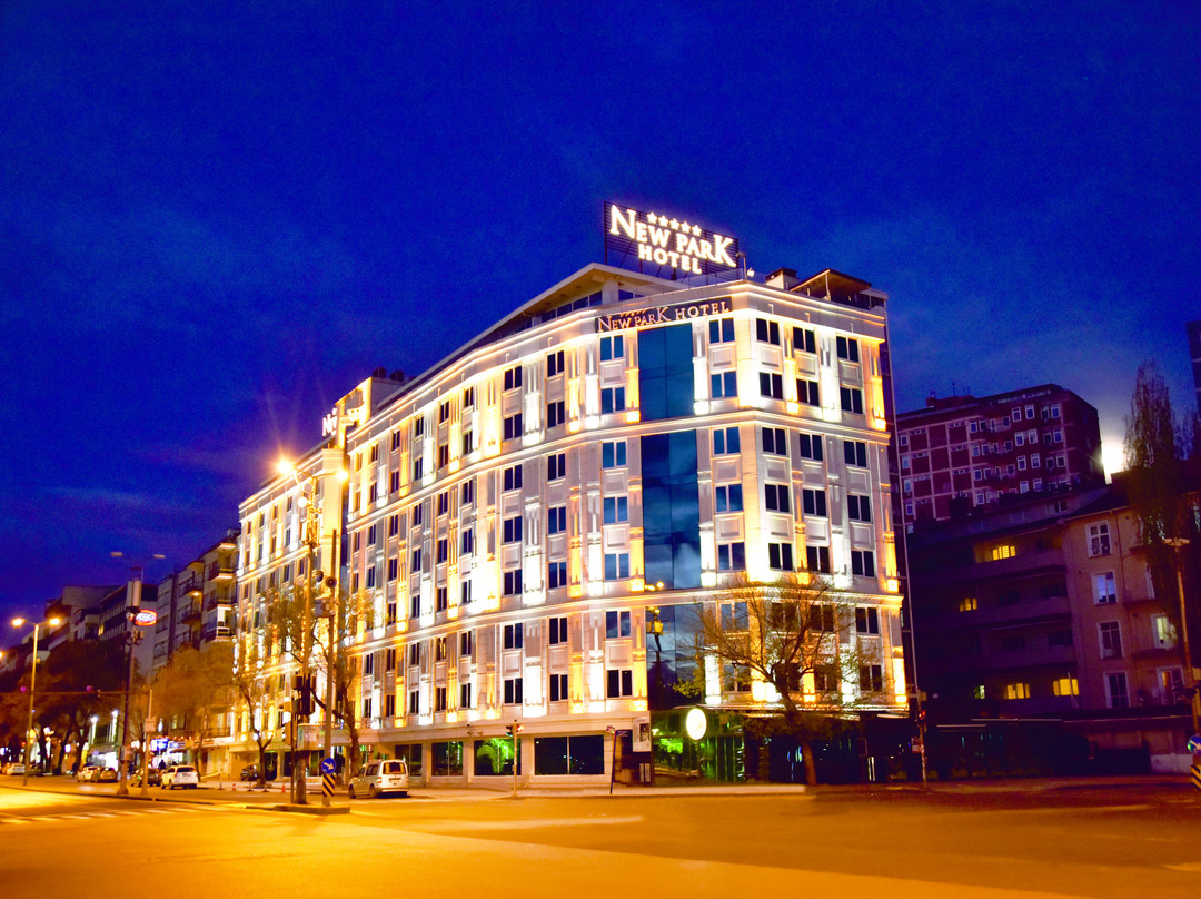 New Park Hotel主图