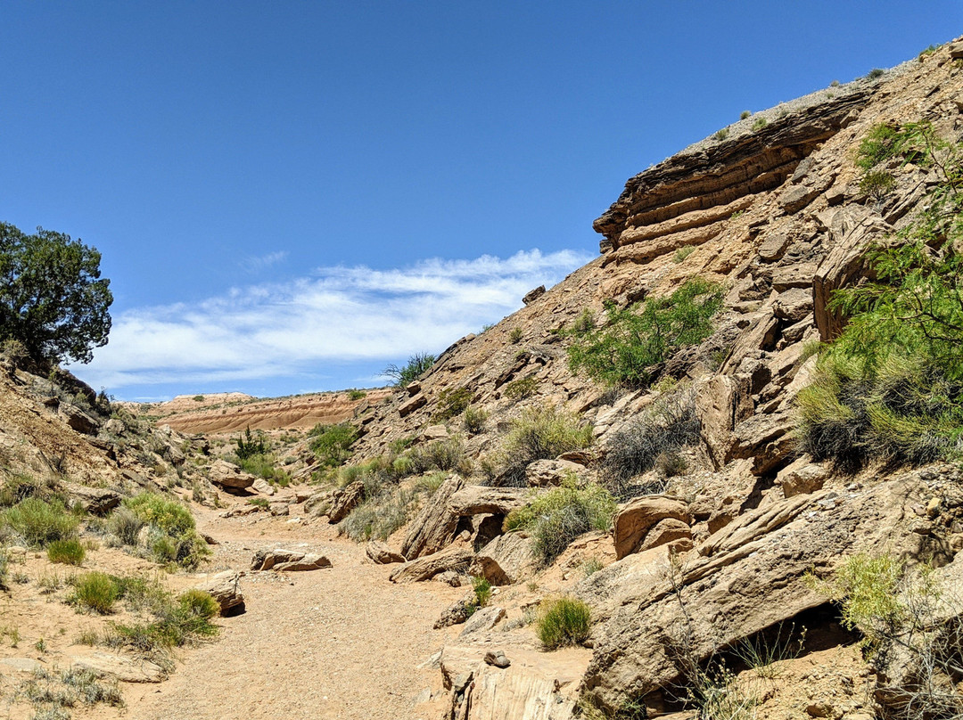Sevilleta National Wildlife Refuge-La Joya必去景点