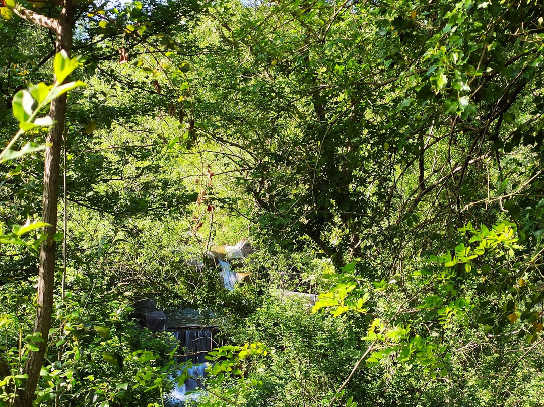 Parco fluviale del Tordino e del Vezzola-泰拉莫必去景点