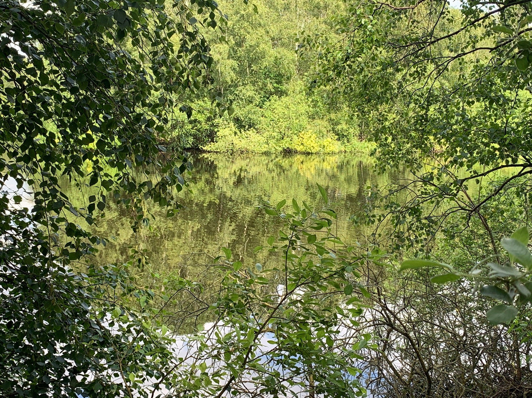 Holme Fen National Nature Reserve景点图片