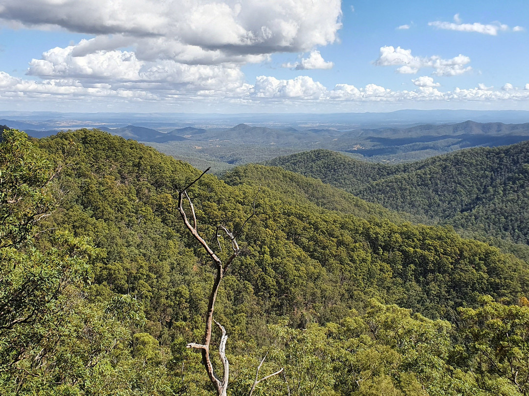 West Ridge Lookout景点图片