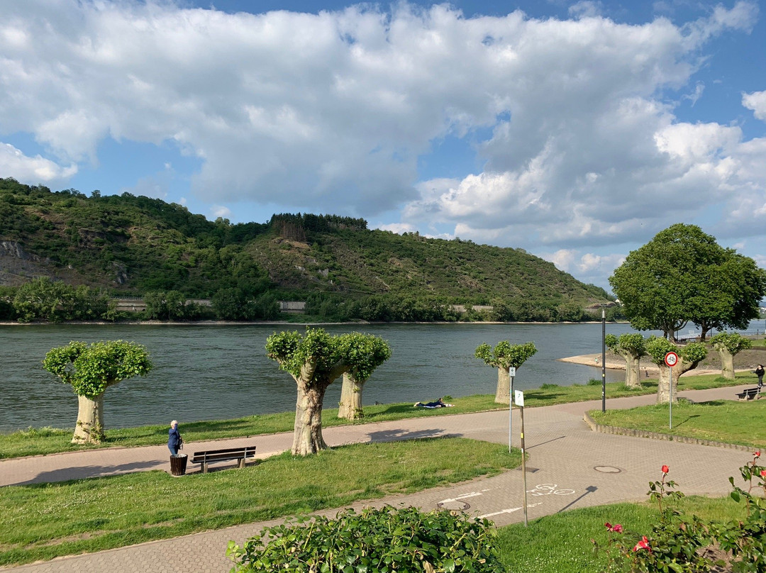 Hotel Villa am Rhein主图