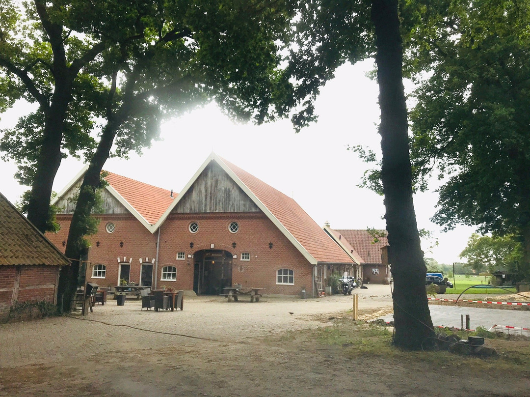 Erve Howerboer主图