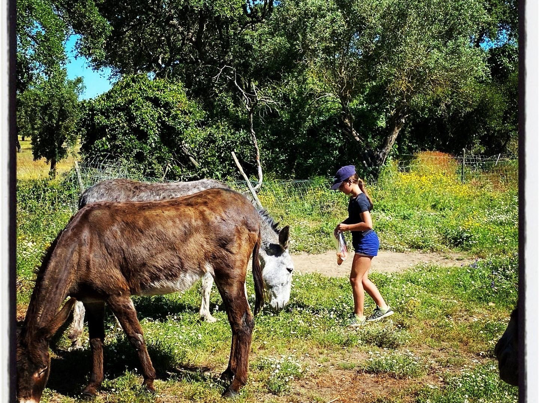 Quinta do Cano主图