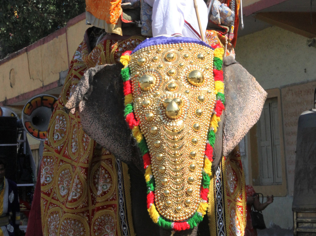 Hotel Magnum Inn主图