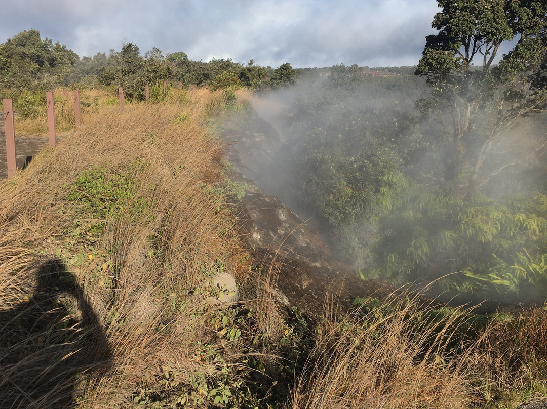 Sulphur Banks-夏威夷火山国家公园必去景点