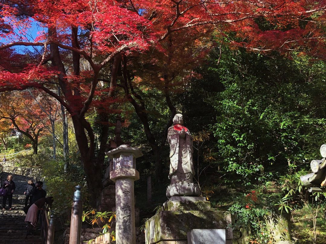 Hasedera Temple景点图片
