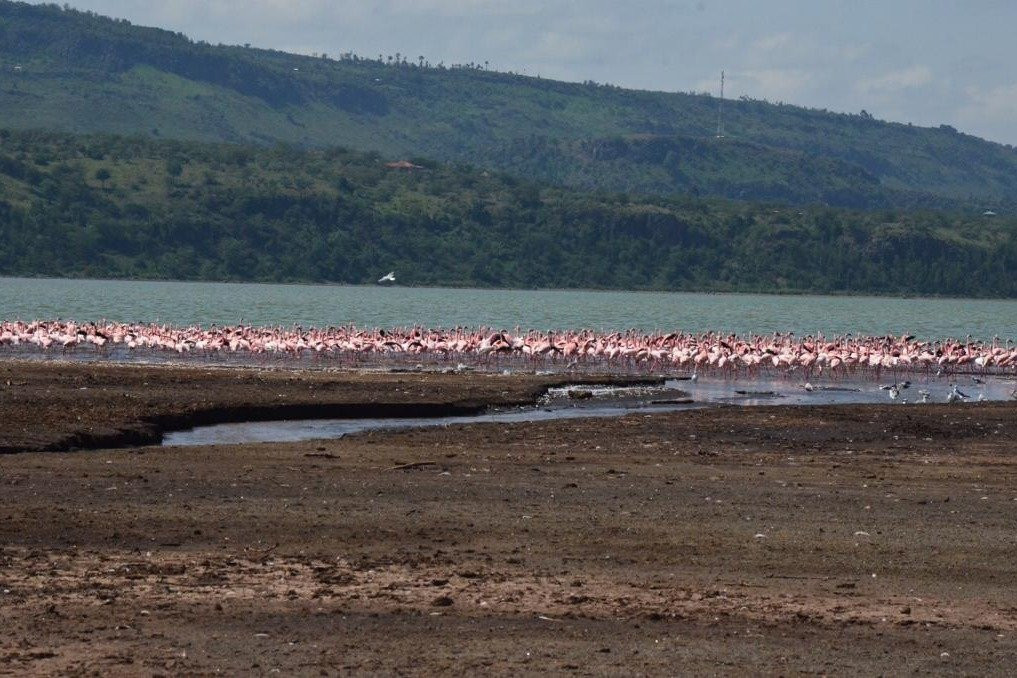 FoxTrail Expeditions-纳库鲁必去景点