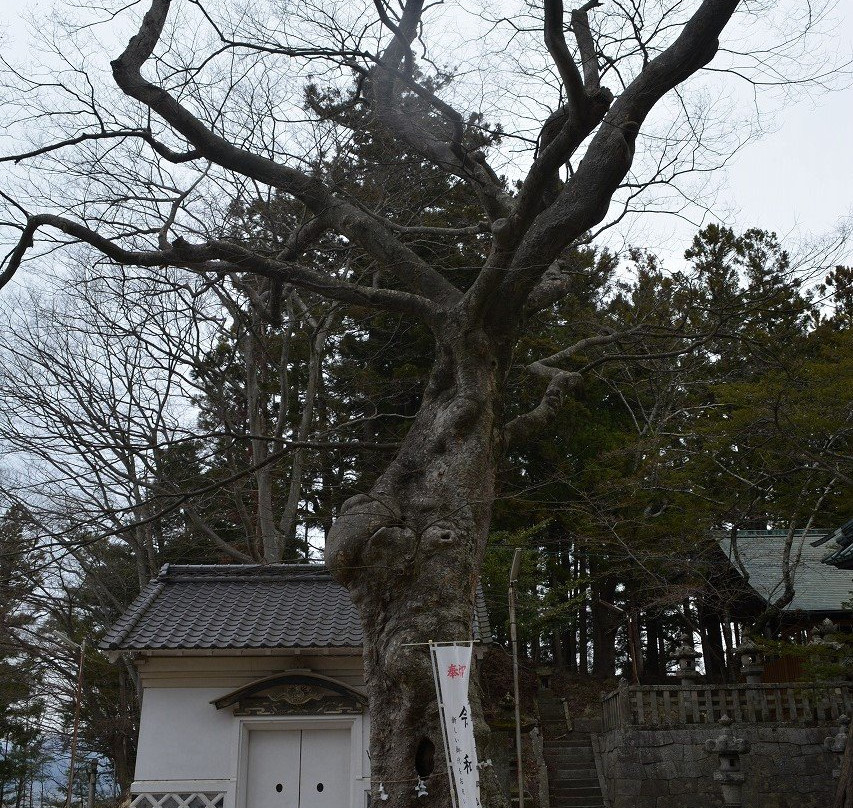 Adatara Shrine景点图片