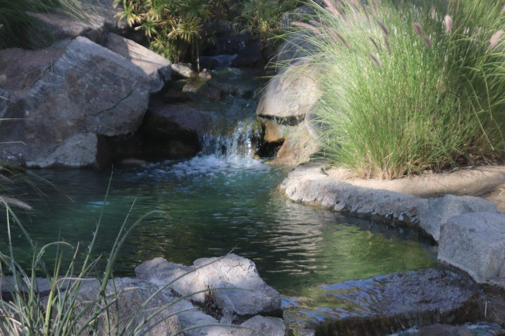 Cancer Survivors Park-兰乔米拉必去景点