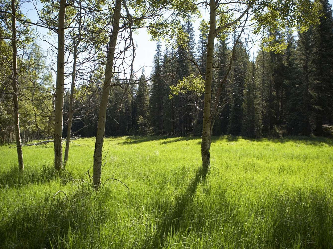 Best Western Alpenglo Lodge主图