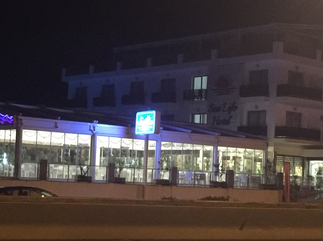 Sea Life Hotel主图