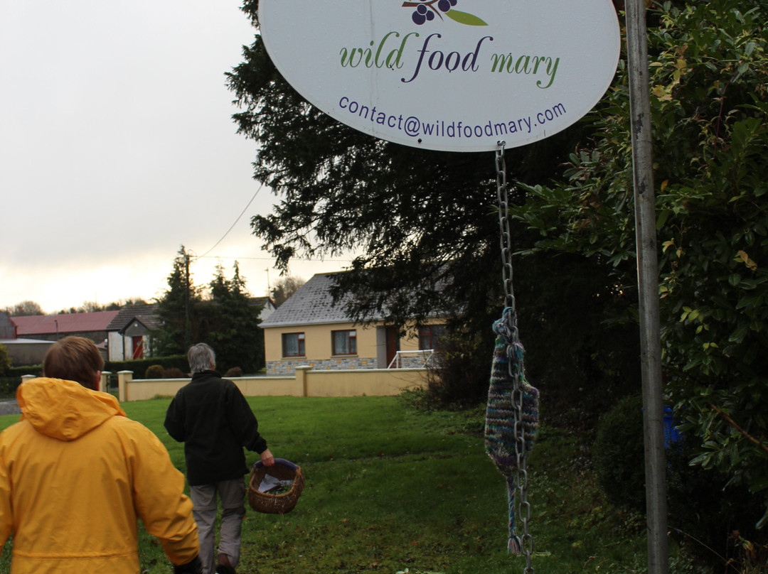 Wild Food Mary-Birr必去景点