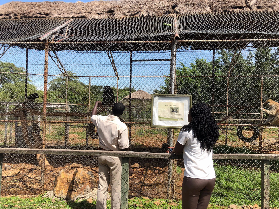 Kisumu Impala Sanctuary-基苏木必去景点
