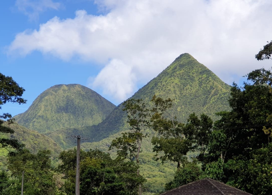 MARTINIQUE BEST SECRET景点图片