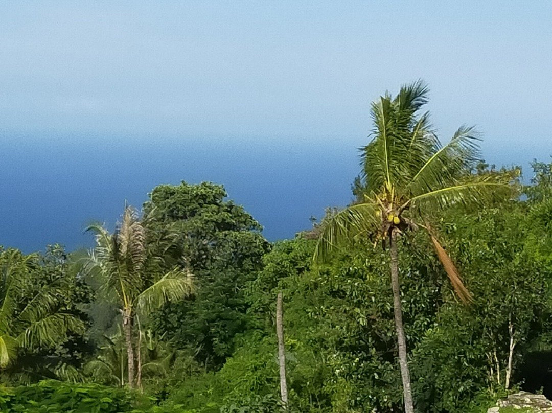 Costa Guesthouse