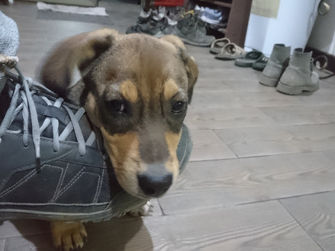 比什凯克苹果青年旅馆主图