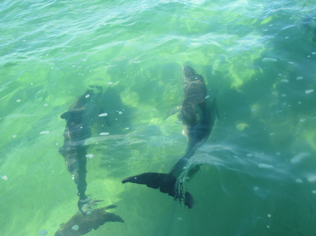 Bonefish Bradley Fishing Chartes-Andros必去景点