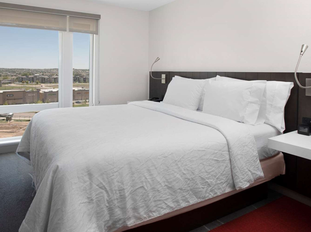 Hilton Garden Inn Denver/Thornton主图