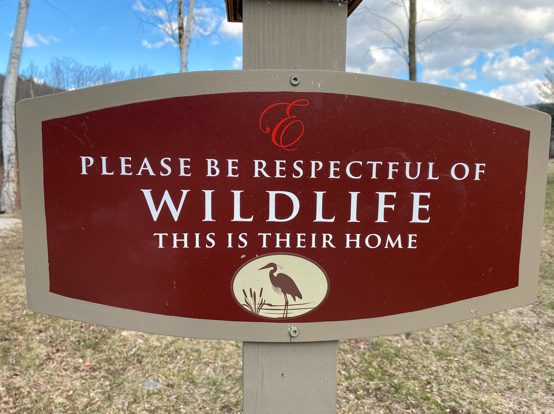 Emerson Resort & Spa主图