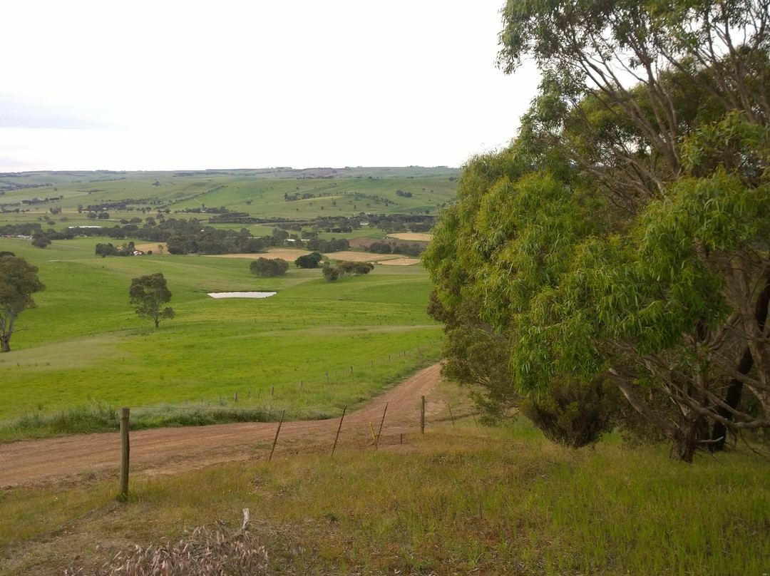 Peter Francis Points Arboretum-Coleraine必去景点