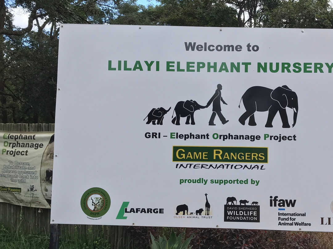 Lilayi Elephant Nursery景点图片