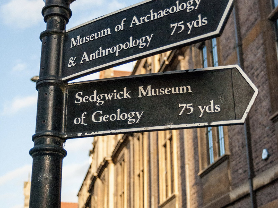 Sedgwick Museum of Earth Sciences景点图片