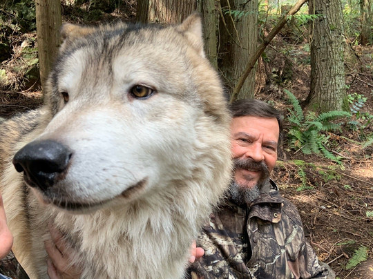 Predators of the Heart-Anacortes必去景点