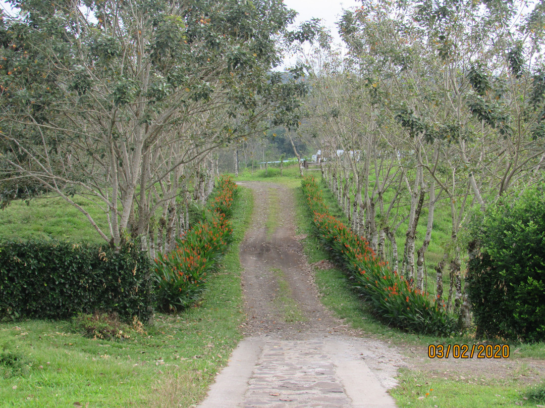 La Casa de la Montana主图