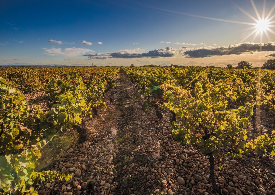 Domaine de la Valeriane-Domazan必去景点