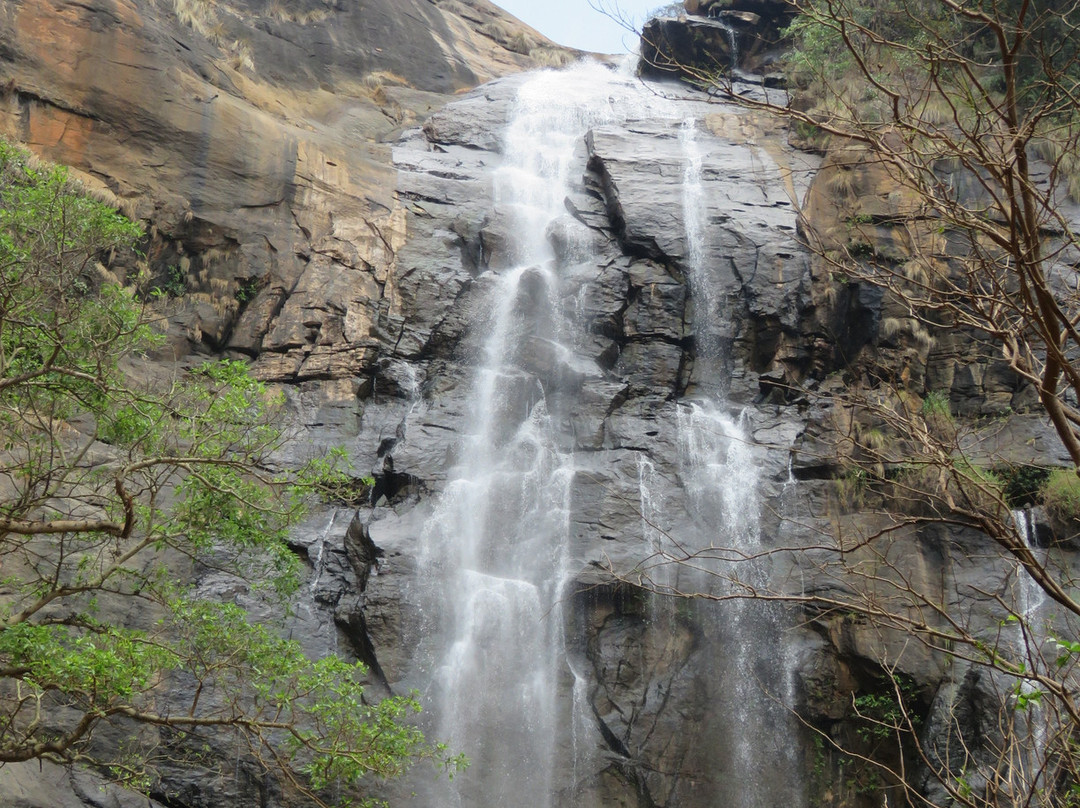 Agaya Gangai Waterfalls景点图片