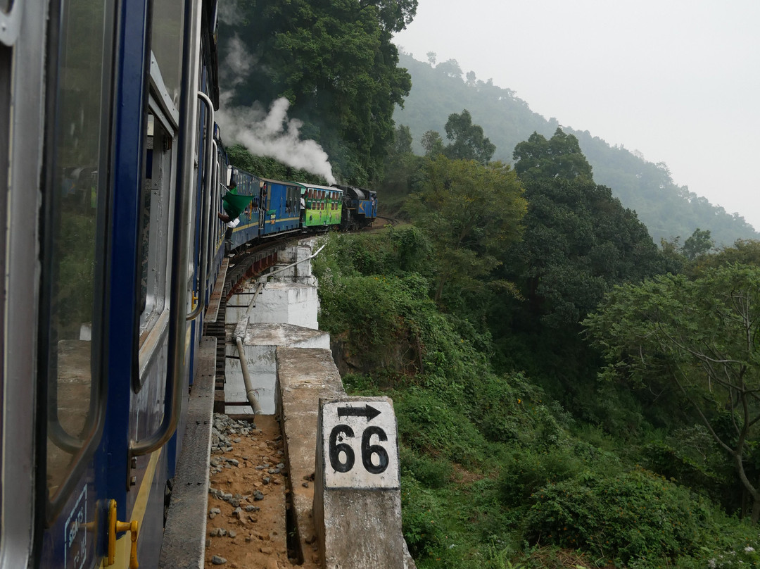 Nilgiri Mountain Railway景点图片