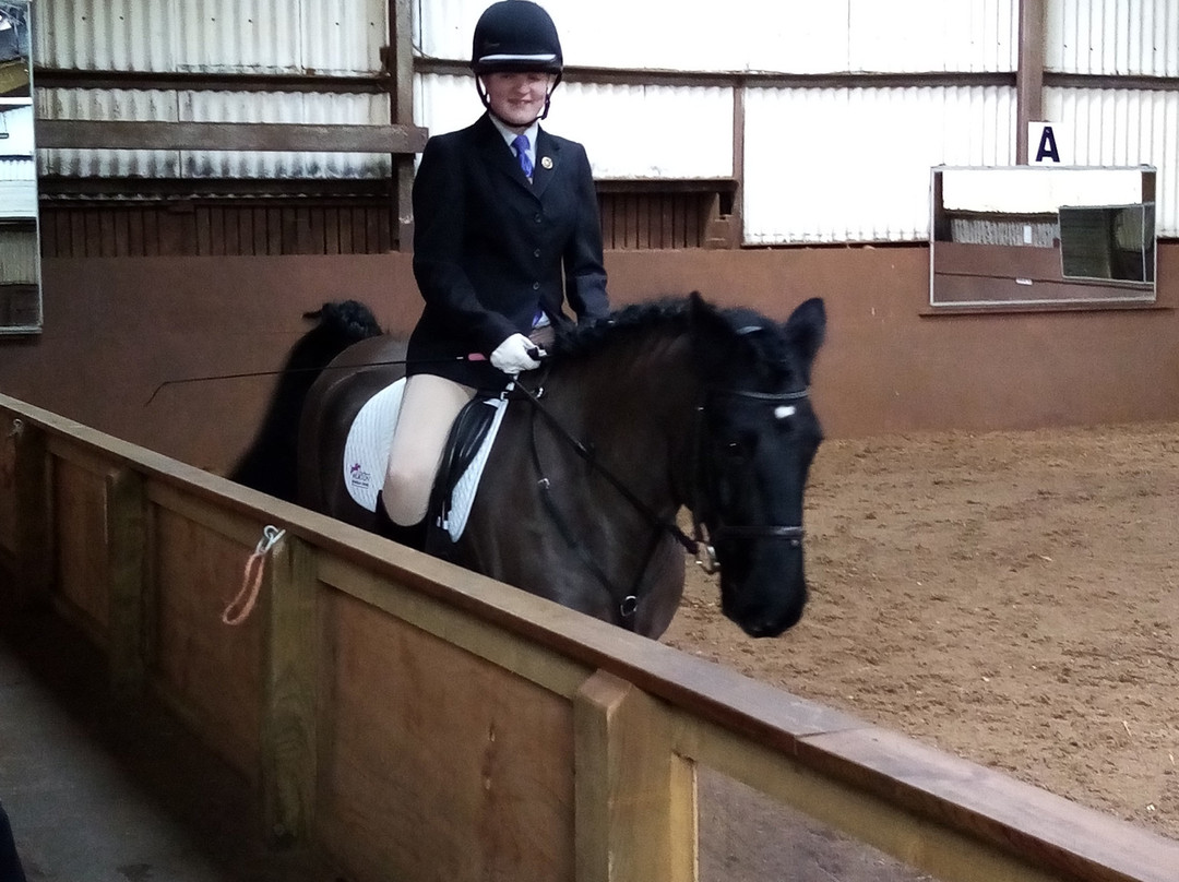 Murton Equestrian Centre-纽卡斯尔必去景点