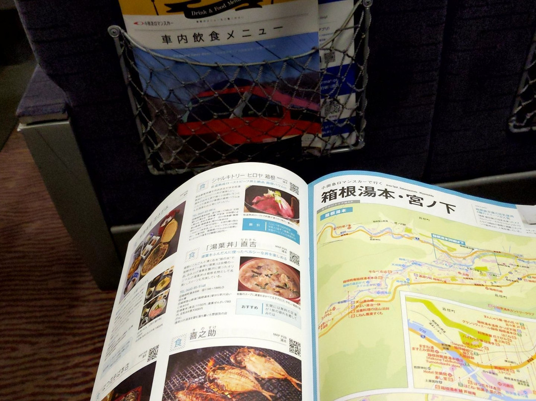 Odakyu Limited Express Romancecar-东京都必去景点
