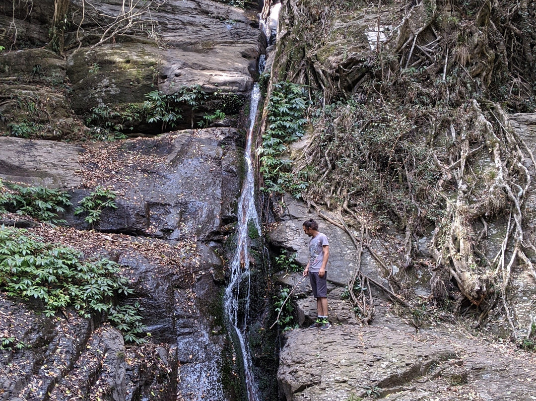 Macquarie Pass National Park景点图片