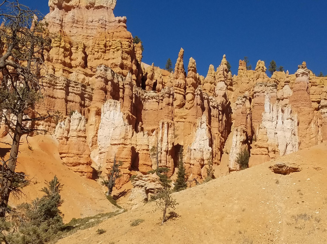 Top Canyon Tours-拉斯维加斯必去景点