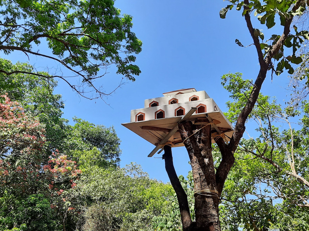 900 Woods Eco Resort主图