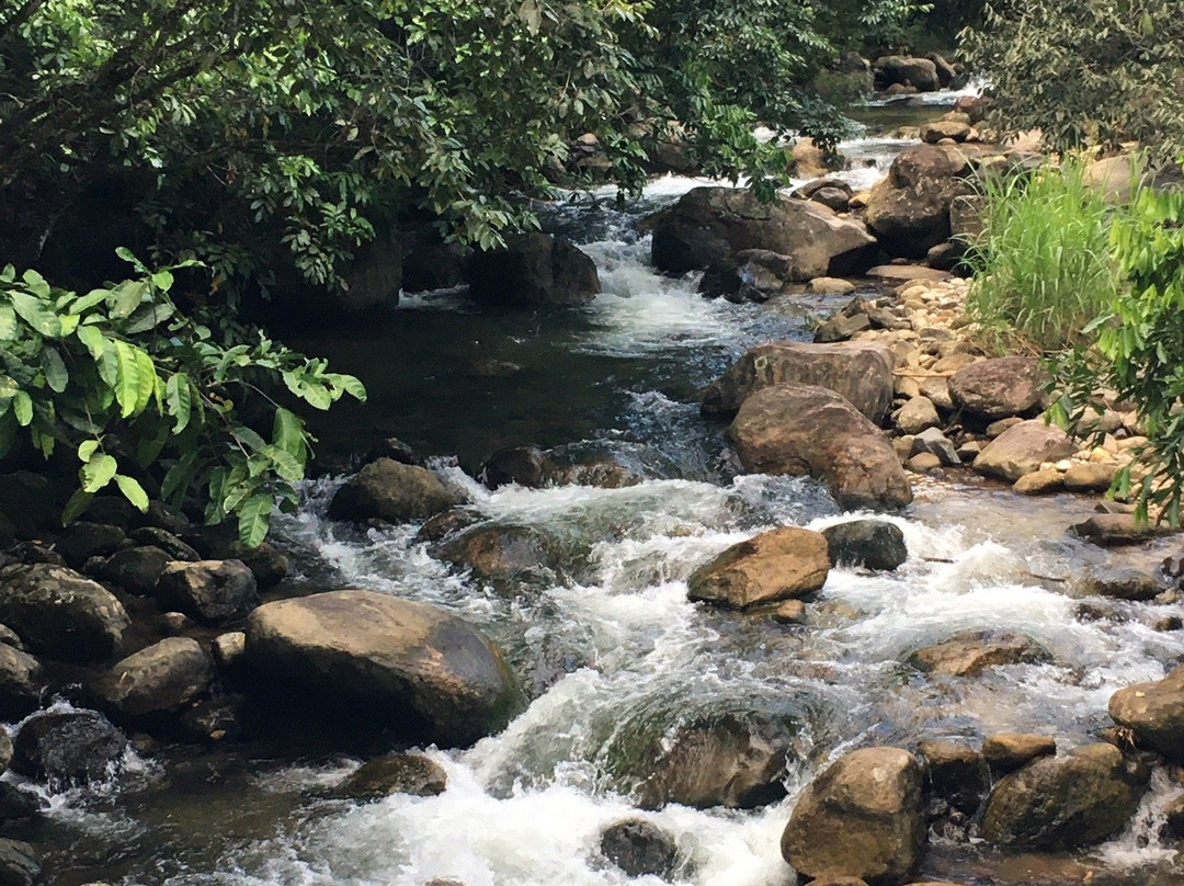 Cachoeira das Andorinhas-Silva Jardim必去景点