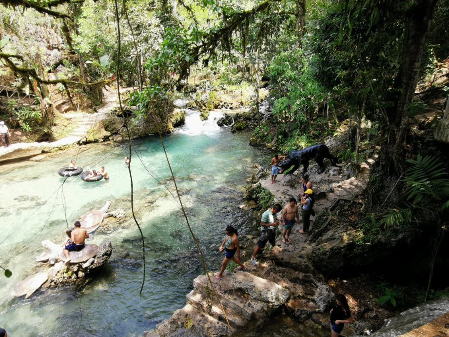 Centro Turistico Naciente del Río Tio Yacu景点图片
