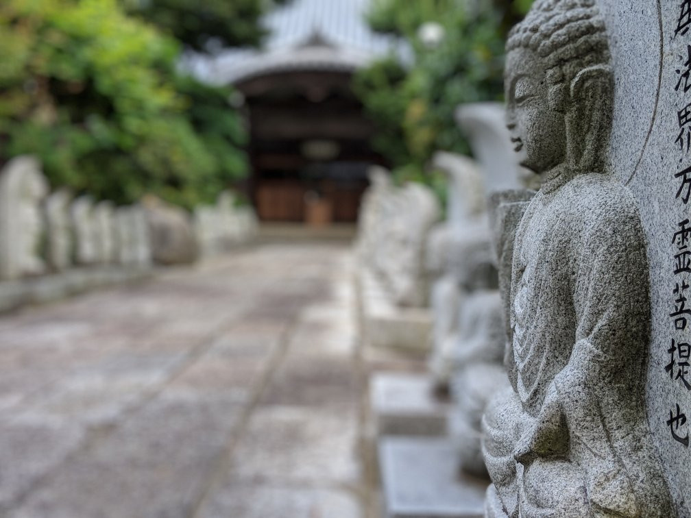 Kosho-ji Temple景点图片