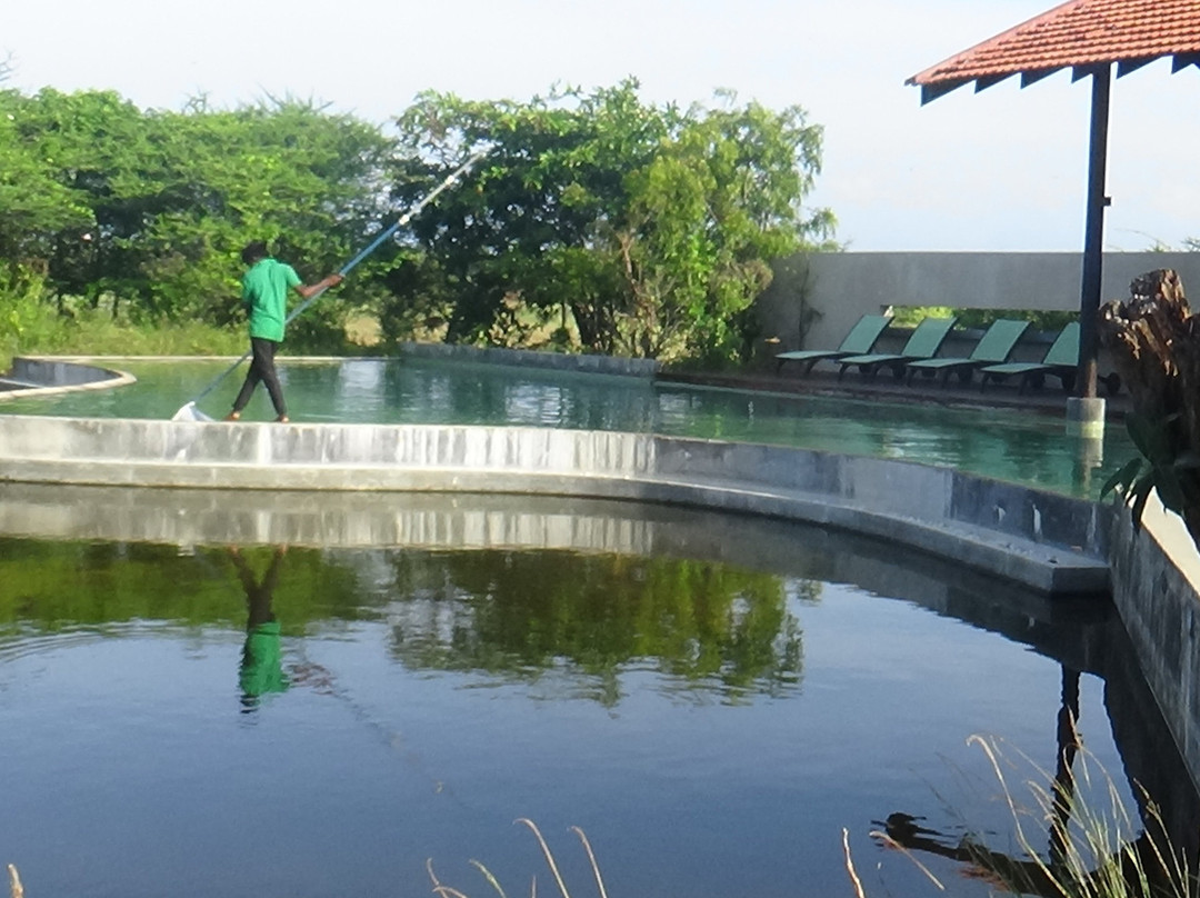 The Palmyrah House主图