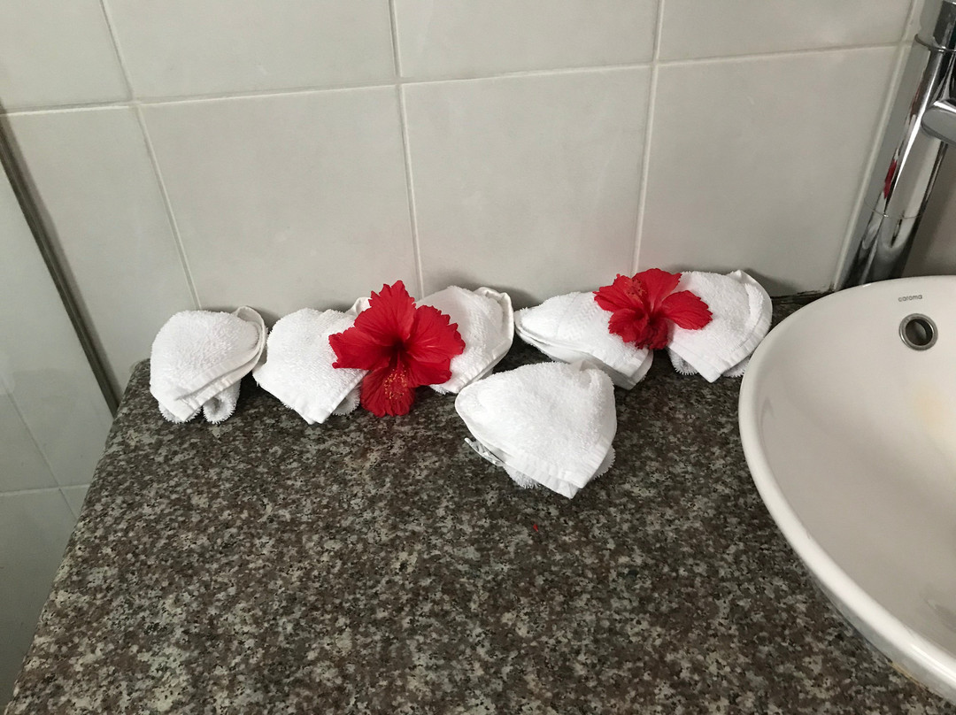 Pied Dans L'eau Holiday Apartments主图