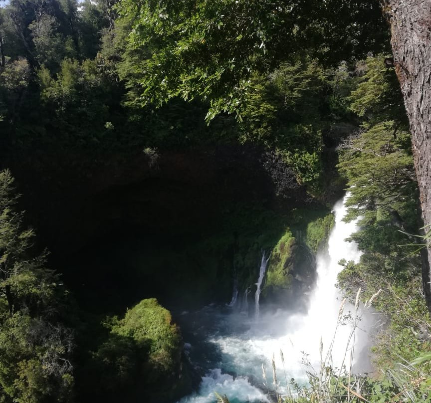 Sendero el Puma-耐尔杜美必去景点