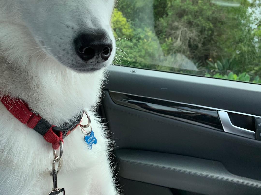 Jadran Motel & El Jay Holiday Lodge主图