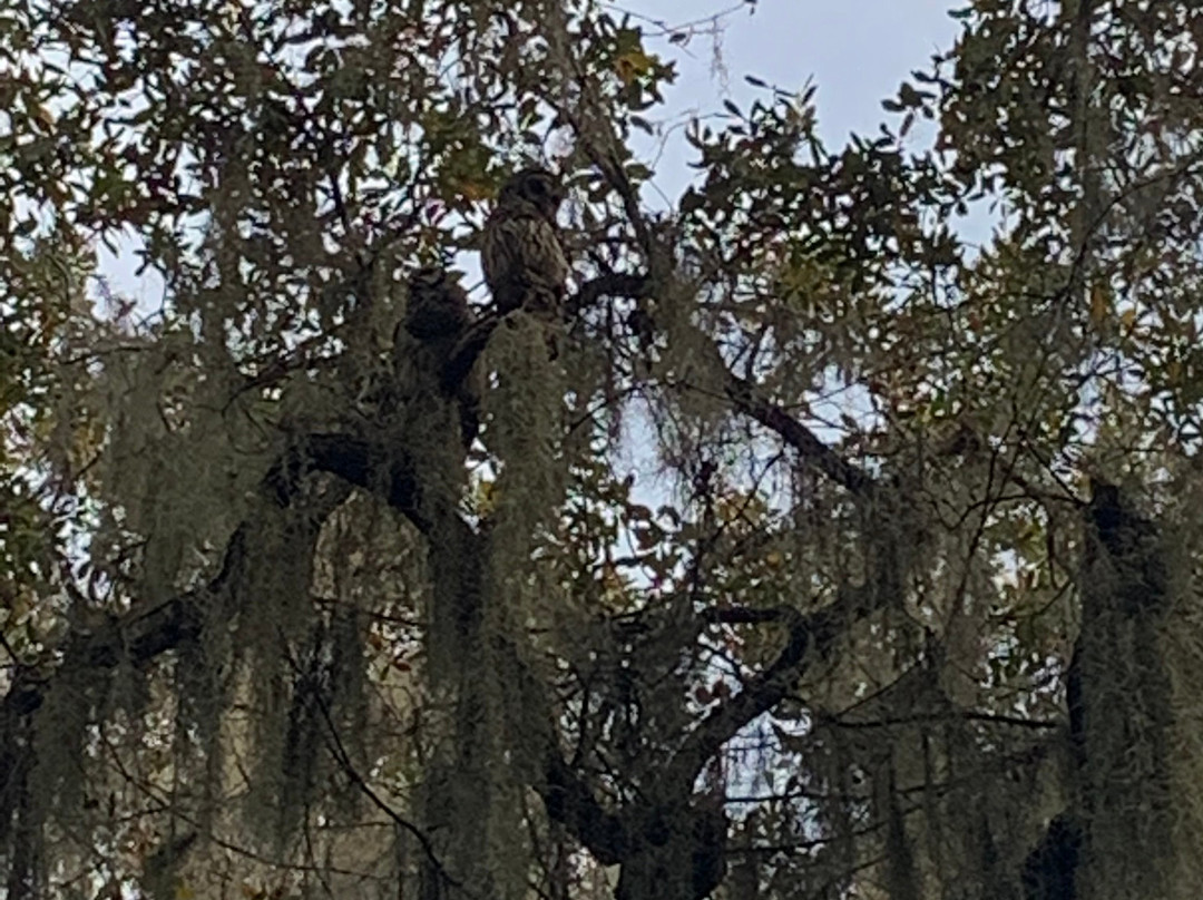 Trimble Park-Mount Dora必去景点