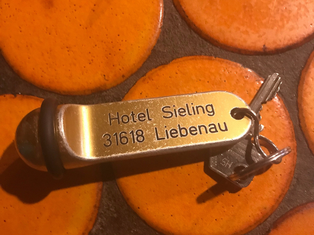 Hotel-Inn Sieling主图