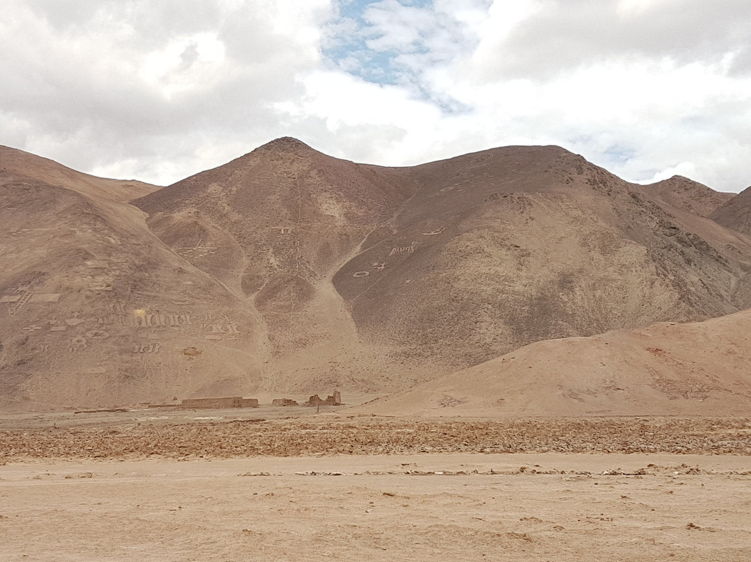 Magical Tours Chile-伊基克必去景点