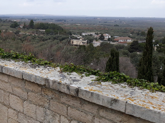 Santa Maria degli Angeli-Cassano delle Murge必去景点