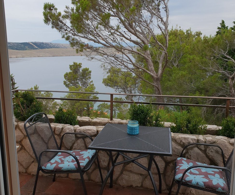 Apartments Villa Antonia主图