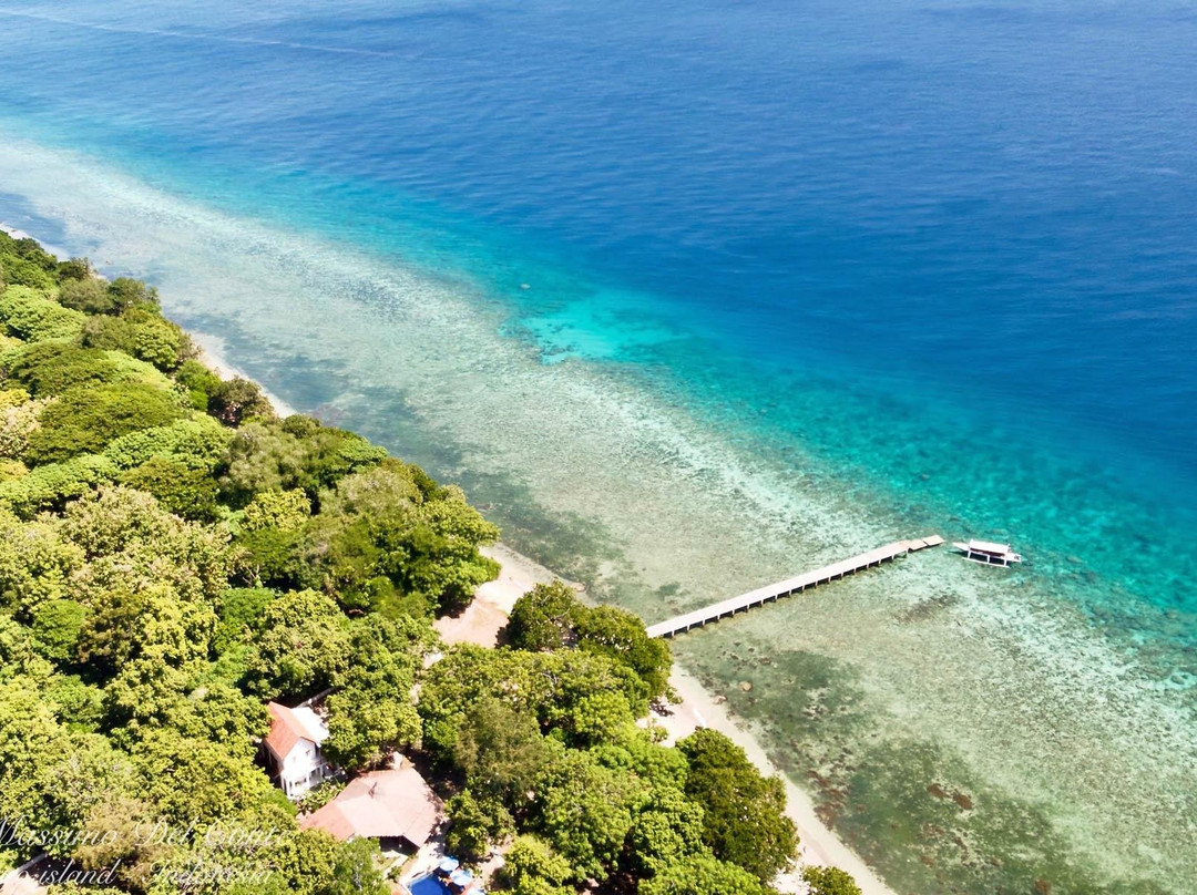 Roctopus Dive Moyo Island景点图片